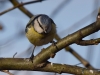 Filename=002_fotowilga~54.JPG
Filesize=246KB
Dimensions=700x525
Date added=Jan 21, 2019 002_fotowilga~54.JPG
