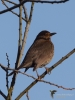 Filename=002_fotowilga~56.JPG
Filesize=215KB
Dimensions=525x700
Date added=Feb 22, 2019 002_fotowilga~56.JPG