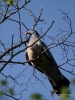 Filename=002_fotowilga~57.JPG
Filesize=257KB
Dimensions=525x700
Date added=Feb 24, 2019 002_fotowilga~57.JPG