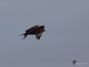 Filename=002_fotowilga~60.JPG
Filesize=191KB
Dimensions=700x525
Date added=May 15, 2019 002_fotowilga~60.JPG