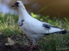 Filename=002_fotowilga~61.JPG
Filesize=269KB
Dimensions=700x525
Date added=Jul 25, 2019 002_fotowilga~61.JPG