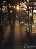 Filename=002_fotowilga~66.JPG
Filesize=348KB
Dimensions=525x700
Date added=Nov 26, 2019 002_fotowilga~66.JPG