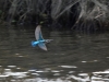 Filename=002_fotowilga~67.JPG
Filesize=314KB
Dimensions=700x525
Date added=Dec 08, 2019 002_fotowilga~67.JPG