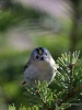 Filename=00303_fotowilga~34.JPG
Filesize=248KB
Dimensions=525x700
Date added=Oct 14, 2017 00303_fotowilga~34.JPG