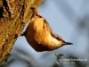 Filename=00309_fotowilga~20.JPG
Filesize=108KB
Dimensions=640x480
Date added=Apr 29, 2016 00309_fotowilga~20.JPG