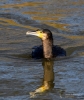 Filename=00317_fotowilga~0.JPG
Filesize=372KB
Dimensions=592x700
Date added=Mar 07, 2021 00317_fotowilga~0.JPG