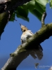Filename=0031_fotowilga.JPG
Filesize=208KB
Dimensions=525x700
Date added=Feb 27, 2019 0031_fotowilga.JPG