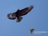 Filename=0031_fotowilga~33.JPG
Filesize=55KB
Dimensions=640x480
Date added=Feb 28, 2017 0031_fotowilga~33.JPG