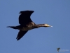 Filename=00320_fotowilga.JPG
Filesize=192KB
Dimensions=700x525
Date added=Jul 19, 2019 00320_fotowilga.JPG