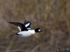 Filename=00328_fotowilga~34.JPG
Filesize=228KB
Dimensions=700x525
Date added=Feb 25, 2019 00328_fotowilga~34.JPG