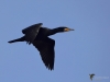Filename=0032_fotowilga.JPG
Filesize=201KB
Dimensions=700x525
Date added=May 24, 2019 0032_fotowilga.JPG