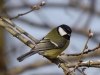 Filename=0032_fotowilga~0.JPG
Filesize=239KB
Dimensions=700x525
Date added=Jul 20, 2019 0032_fotowilga~0.JPG