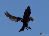 Filename=00330_fotowilga~39.JPG
Filesize=227KB
Dimensions=700x525
Date added=Mar 17, 2019 00330_fotowilga~39.JPG