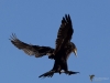 Filename=00331_fotowilga~35.JPG
Filesize=206KB
Dimensions=700x525
Date added=Mar 20, 2019 00331_fotowilga~35.JPG