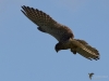 Filename=00336_fotowilga~31.JPG
Filesize=204KB
Dimensions=700x525
Date added=Aug 04, 2018 00336_fotowilga~31.JPG