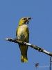 Filename=00338_fotowilga~33.JPG
Filesize=214KB
Dimensions=525x700
Date added=Jun 05, 2018 00338_fotowilga~33.JPG