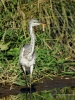 Filename=00338_fotowilga~37.JPG
Filesize=389KB
Dimensions=525x700
Date added=Oct 24, 2019 00338_fotowilga~37.JPG