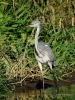 Filename=00339_fotowilga~32.JPG
Filesize=412KB
Dimensions=525x700
Date added=Oct 24, 2019 00339_fotowilga~32.JPG