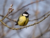 Filename=0033_fotowilga~1.JPG
Filesize=221KB
Dimensions=700x525
Date added=Jul 20, 2019 0033_fotowilga~1.JPG