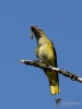 Filename=00342_fotowilga~34.JPG
Filesize=220KB
Dimensions=525x700
Date added=Jun 05, 2018 00342_fotowilga~34.JPG