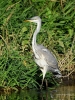Filename=00342_fotowilga~38.JPG
Filesize=416KB
Dimensions=525x700
Date added=Oct 24, 2019 00342_fotowilga~38.JPG