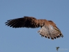 Filename=00343_fotowilga~15.JPG
Filesize=213KB
Dimensions=700x525
Date added=Aug 04, 2018 00343_fotowilga~15.JPG