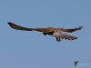 Filename=00349_fotowilga~28.JPG
Filesize=193KB
Dimensions=700x525
Date added=Aug 04, 2018 00349_fotowilga~28.JPG