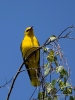 Filename=0034_fotowilga~63.JPG
Filesize=282KB
Dimensions=525x700
Date added=May 21, 2019 0034_fotowilga~63.JPG