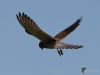 Filename=00356_fotowilga~34.JPG
Filesize=202KB
Dimensions=700x525
Date added=Aug 05, 2018 00356_fotowilga~34.JPG