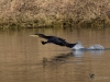Filename=00359_fotowilga~30.JPG
Filesize=286KB
Dimensions=700x525
Date added=Jan 06, 2019 00359_fotowilga~30.JPG