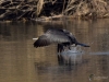 Filename=00366_fotowilga~31.JPG
Filesize=274KB
Dimensions=700x525
Date added=Feb 28, 2018 00366_fotowilga~31.JPG