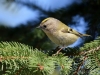 Filename=00366_fotowilga~32.JPG
Filesize=310KB
Dimensions=700x525
Date added=Apr 14, 2018 00366_fotowilga~32.JPG