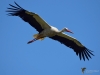 Filename=00369_fotowilga~26.JPG
Filesize=173KB
Dimensions=700x525
Date added=Jun 17, 2017 00369_fotowilga~26.JPG