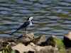 Filename=0036_fotowilga~41.JPG
Filesize=295KB
Dimensions=700x525
Date added=Jun 11, 2018 0036_fotowilga~41.JPG