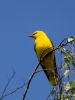 Filename=0037_fotowilga.JPG
Filesize=252KB
Dimensions=525x700
Date added=May 26, 2019 0037_fotowilga.JPG