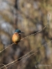 Filename=0037_fotowilga~76.JPG
Filesize=245KB
Dimensions=525x700
Date added=May 17, 2019 0037_fotowilga~76.JPG