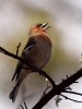 Filename=00381_fotowilga~29.JPG
Filesize=235KB
Dimensions=525x700
Date added=Mar 28, 2019 00381_fotowilga~29.JPG