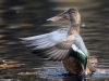 Filename=00384_fotowilga~27.JPG
Filesize=292KB
Dimensions=700x525
Date added=Nov 11, 2018 00384_fotowilga~27.JPG