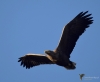 Filename=00391_fotowilga~0.JPG
Filesize=217KB
Dimensions=700x578
Date added=Nov 27, 2021 00391_fotowilga~0.JPG