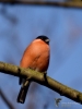 Filename=00396_fotowilga~30.JPG
Filesize=238KB
Dimensions=525x700
Date added=Nov 12, 2018 00396_fotowilga~30.JPG
