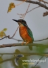 Filename=003_fotowilga~18.JPG
Filesize=65KB
Dimensions=343x480
Date added=Nov 12, 2015 003_fotowilga~18.JPG