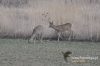 Filename=003_fotowilga~20.JPG
Filesize=119KB
Dimensions=640x427
Date added=Feb 12, 2016 003_fotowilga~20.JPG