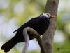 Filename=003_fotowilga~21.JPG
Filesize=214KB
Dimensions=700x525
Date added=Apr 29, 2018 003_fotowilga~21.JPG