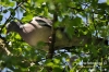 Filename=003_fotowilga~26.JPG
Filesize=127KB
Dimensions=640x427
Date added=Jan 12, 2017 003_fotowilga~26.JPG