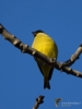 Filename=003_fotowilga~30.JPG
Filesize=178KB
Dimensions=525x700
Date added=Mar 31, 2018 003_fotowilga~30.JPG