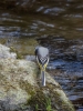 Filename=003_fotowilga~34.JPG
Filesize=314KB
Dimensions=525x700
Date added=May 14, 2018 003_fotowilga~34.JPG