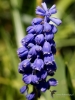 Filename=003_fotowilga~35.JPG
Filesize=235KB
Dimensions=525x700
Date added=Apr 13, 2017 003_fotowilga~35.JPG