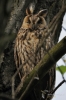 Filename=003_fotowilga~37.JPG
Filesize=246KB
Dimensions=466x700
Date added=Jun 04, 2017 003_fotowilga~37.JPG