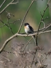 Filename=003_fotowilga~40.JPG
Filesize=235KB
Dimensions=525x700
Date added=Aug 01, 2017 003_fotowilga~40.JPG