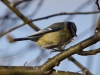 Filename=003_fotowilga~52.JPG
Filesize=257KB
Dimensions=700x525
Date added=Jan 21, 2019 003_fotowilga~52.JPG